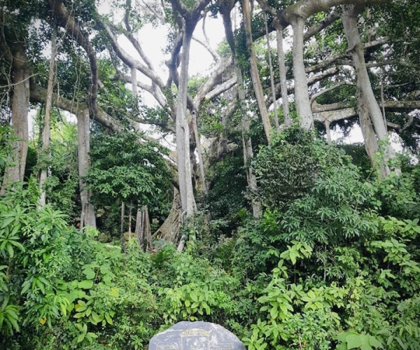 Xe Jeep Đà Nẵng 3